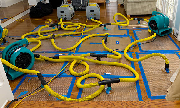 Professional Storm Water Damage Restoration technician working in Cuddy, PA