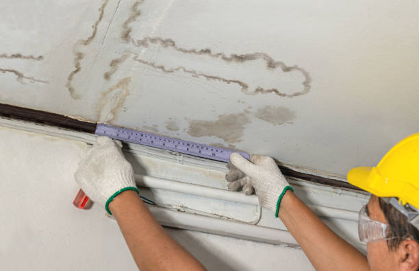 Affordable Water Damage Repair solutions in Cuddy, PA
